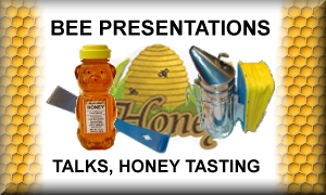 Bee Presentations Talks Honey